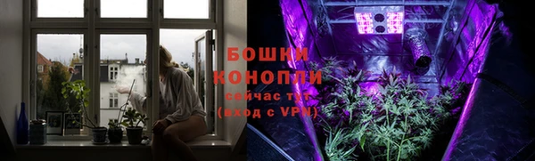 ешки Пестово