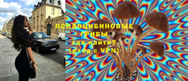 тгк Покров
