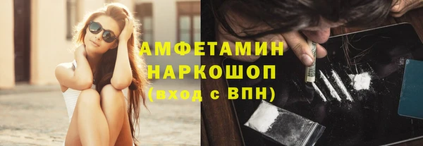 стаф Алзамай