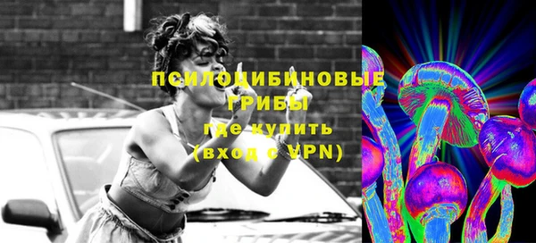 индика Покровск