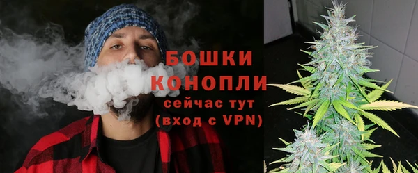 индика Покровск