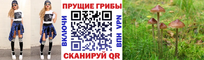 где купить наркотик Татарск Галлюциногенные грибы мухоморы