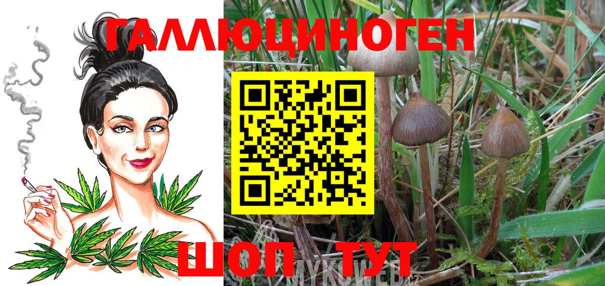 Псилоцибиновые грибы мицелий  Псилоцибиновые грибы MAGIC MUSHROOMS  Татарск  Вход с VPN 